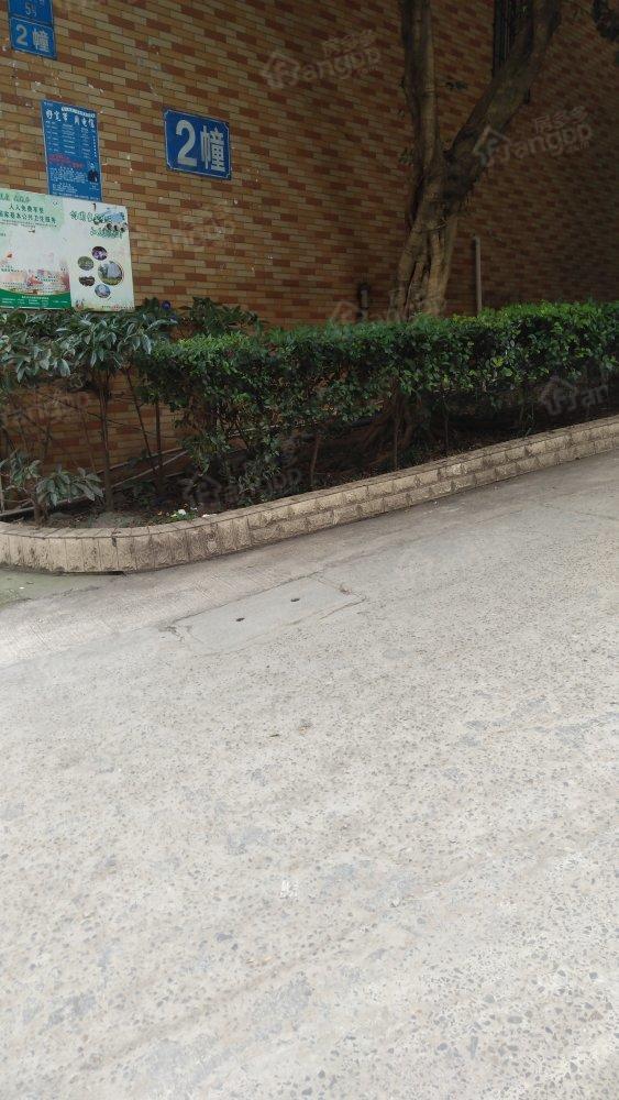 远林名苑B区小区图片