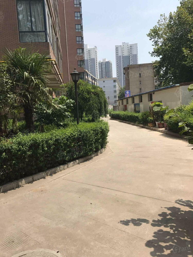 都市领航小区图片