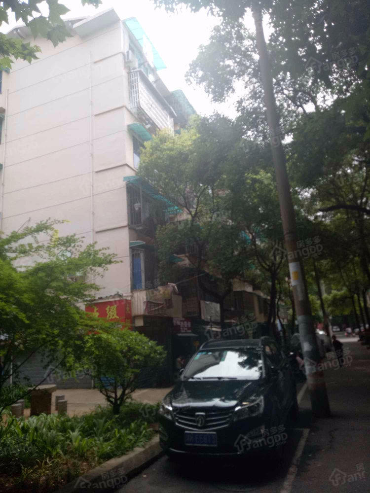 红旗区二片小区图片