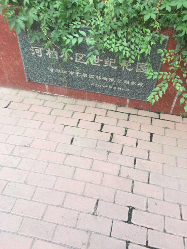 河柏小区世纪花园小区图片