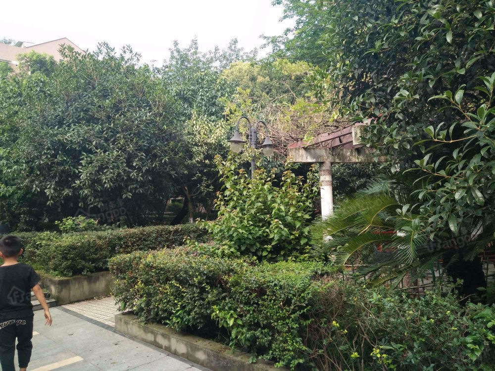 花园小区(新都)小区图片