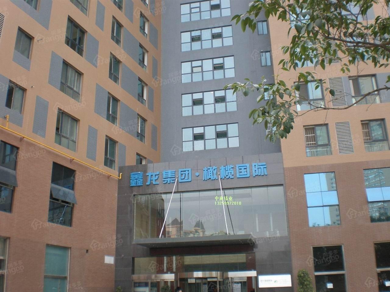 鑫龙橄榄国际小区图片