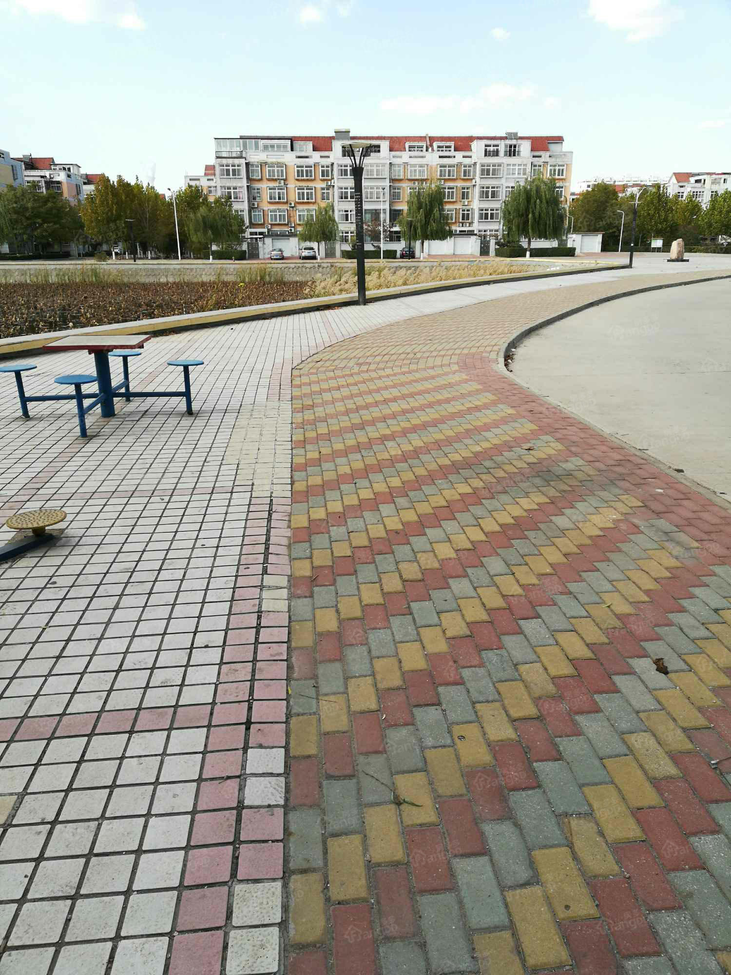 西苑小区小区图片