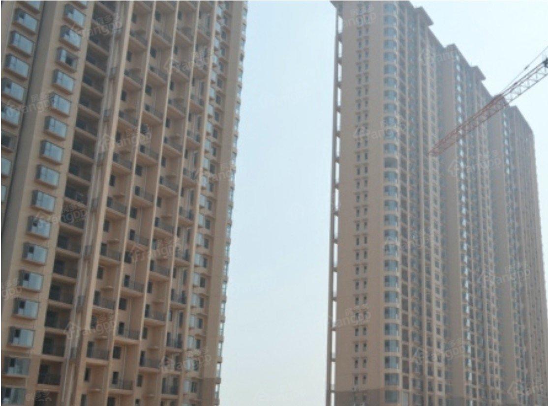 清水湾大公馆小区图片