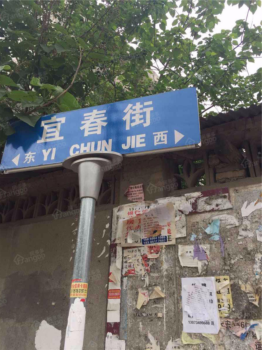中心村80号小区图片