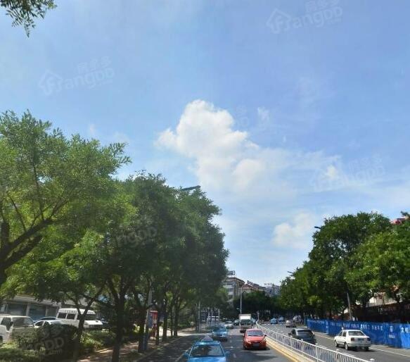 樱花小区图片