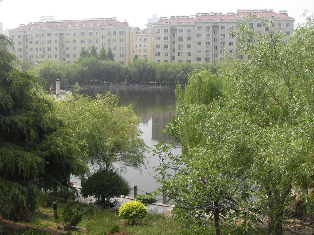 锦湖苑小区图片