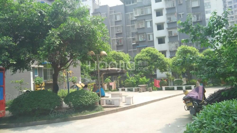 将军路810号小区小区图片