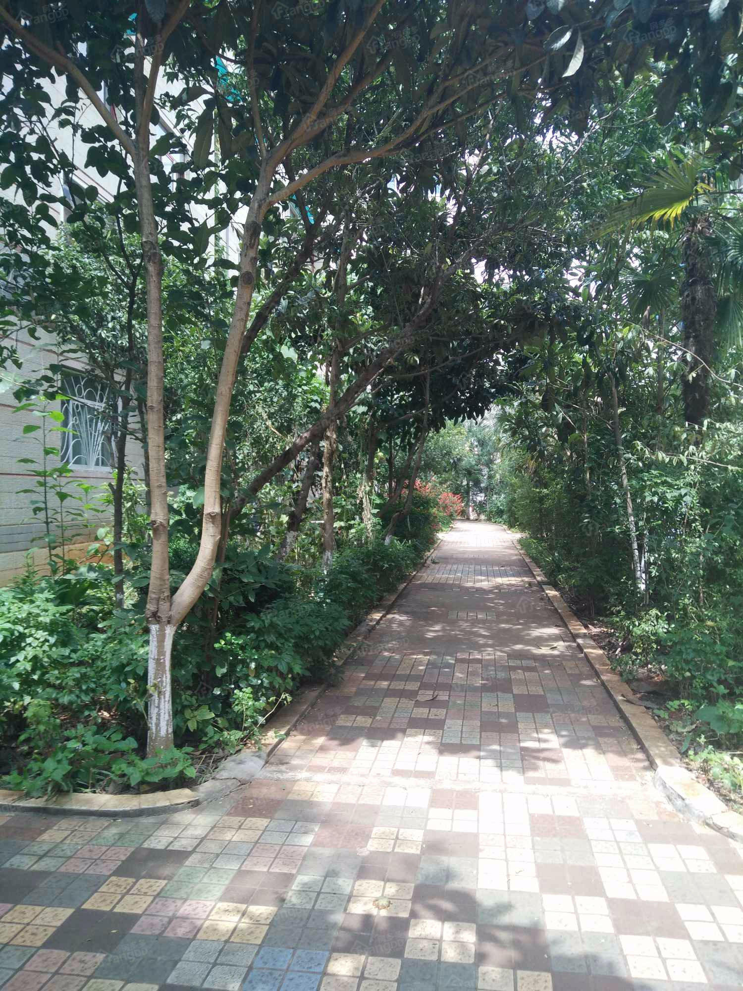 亚龙小区东区小区图片