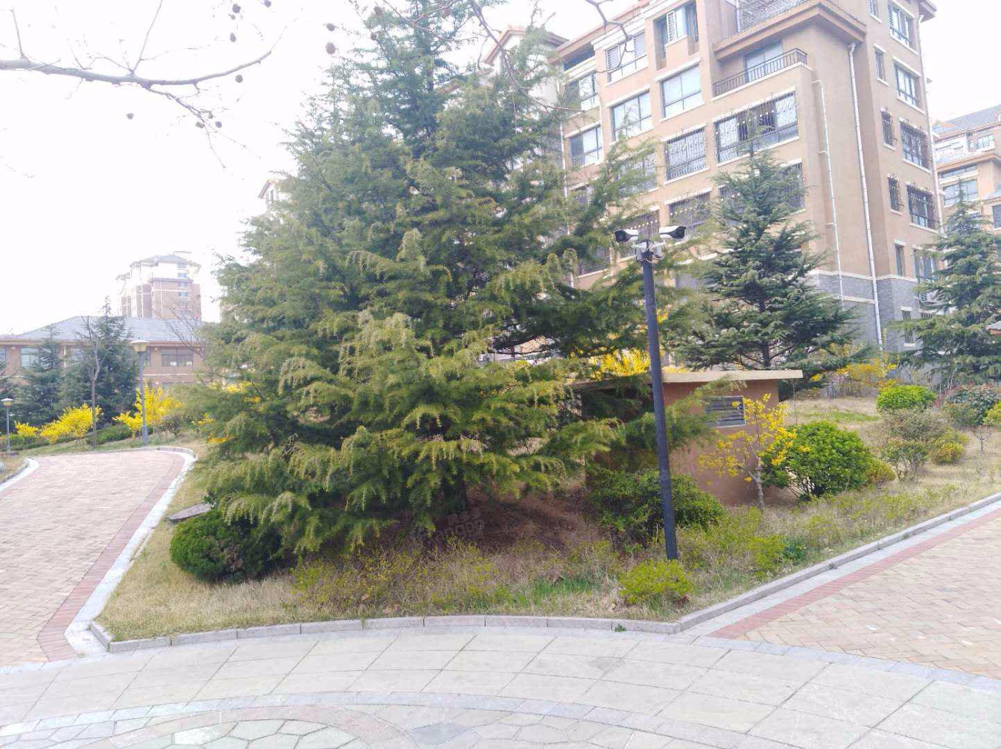 华夏紫薇花园图片