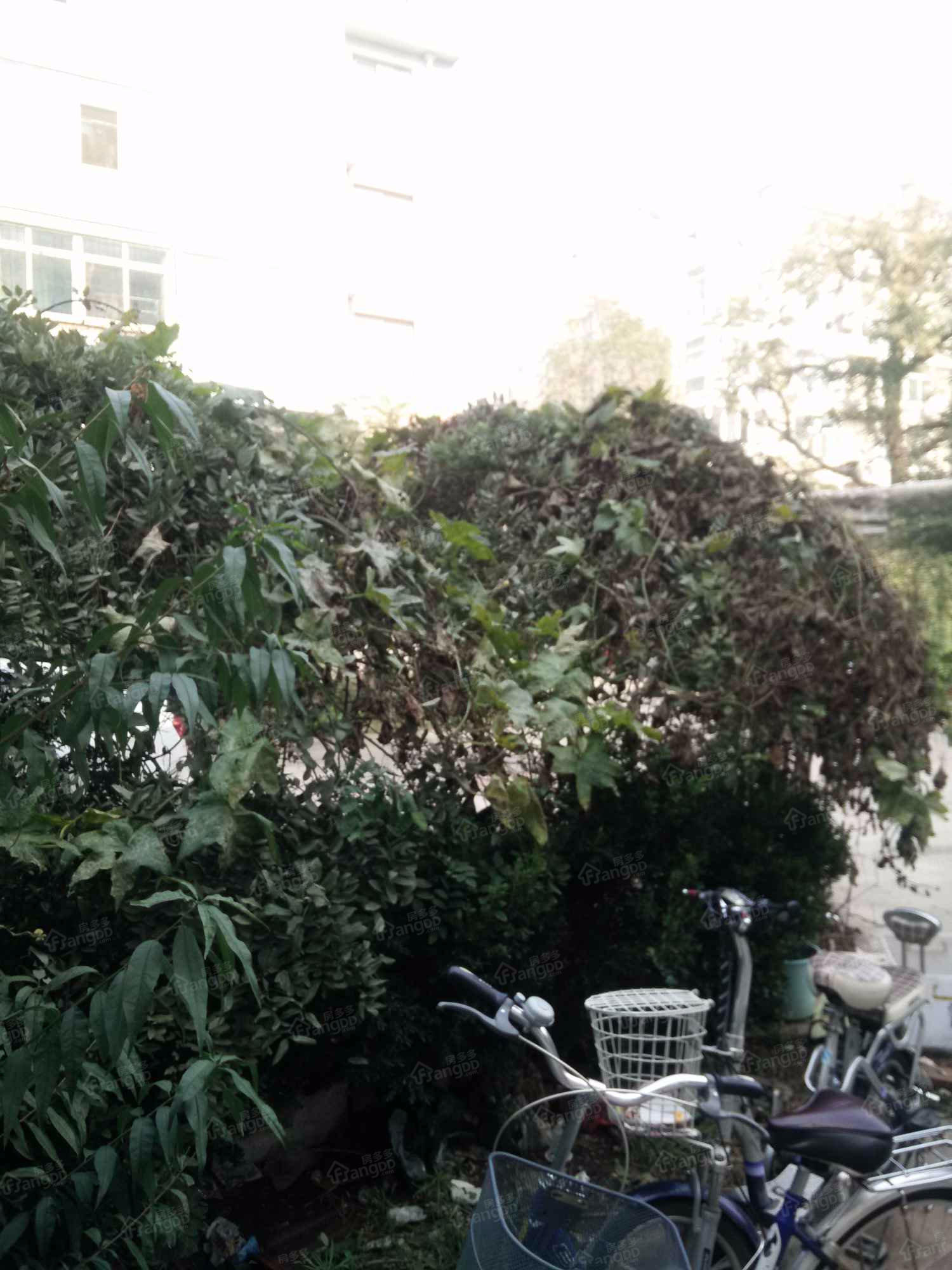 技术监督局宿舍小区图片