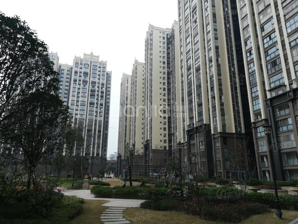 郫县金融中心小区图片