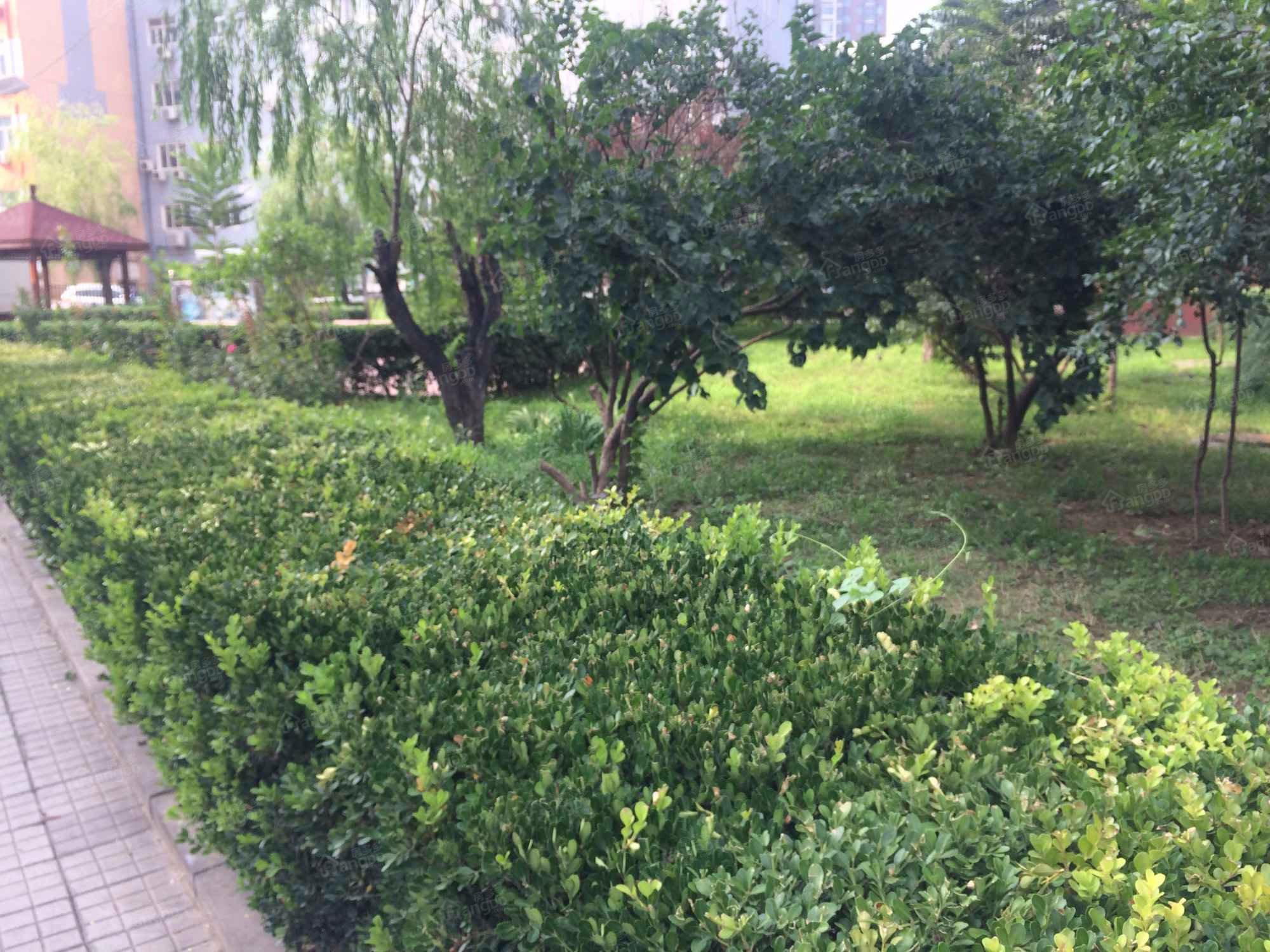 迎曦园小区图片