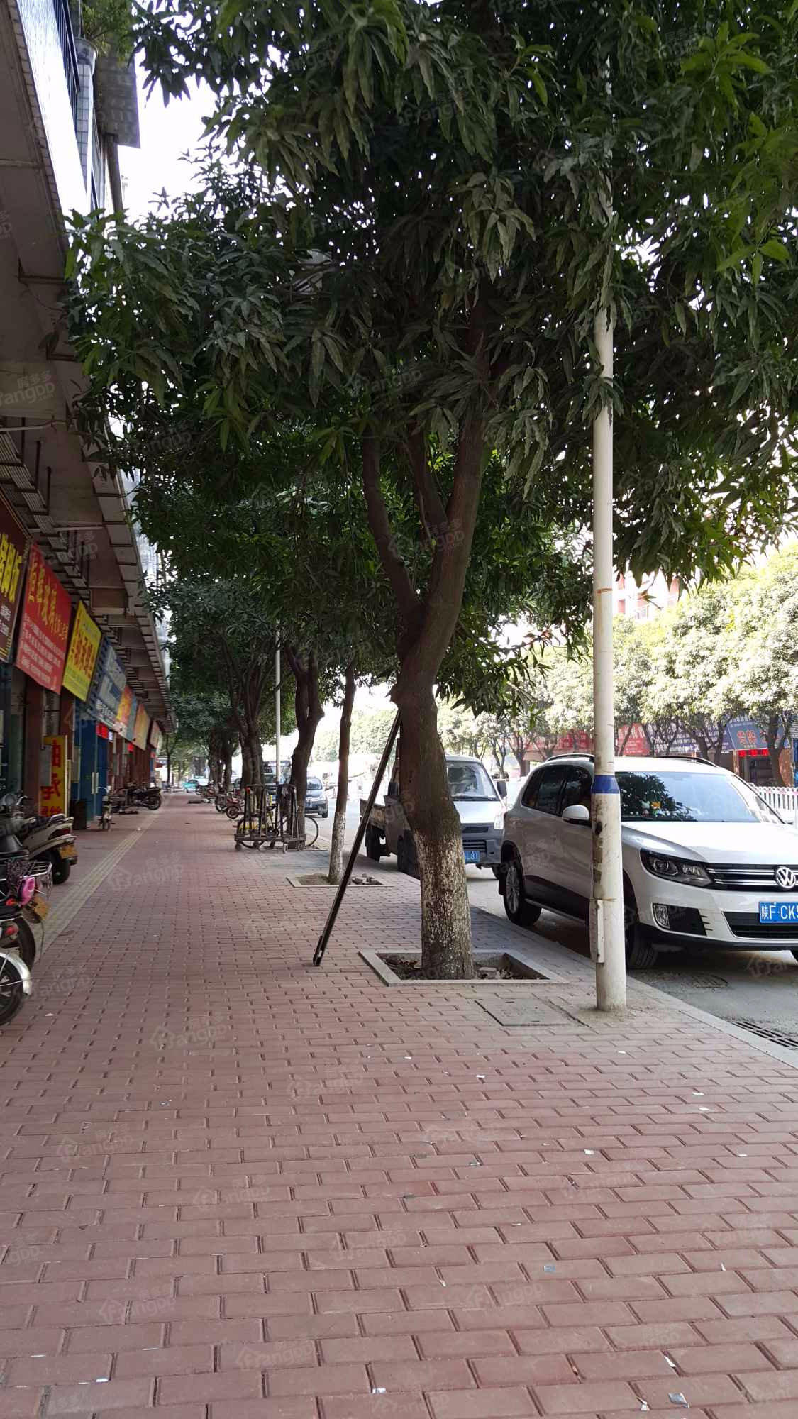 仕林轩二期图片