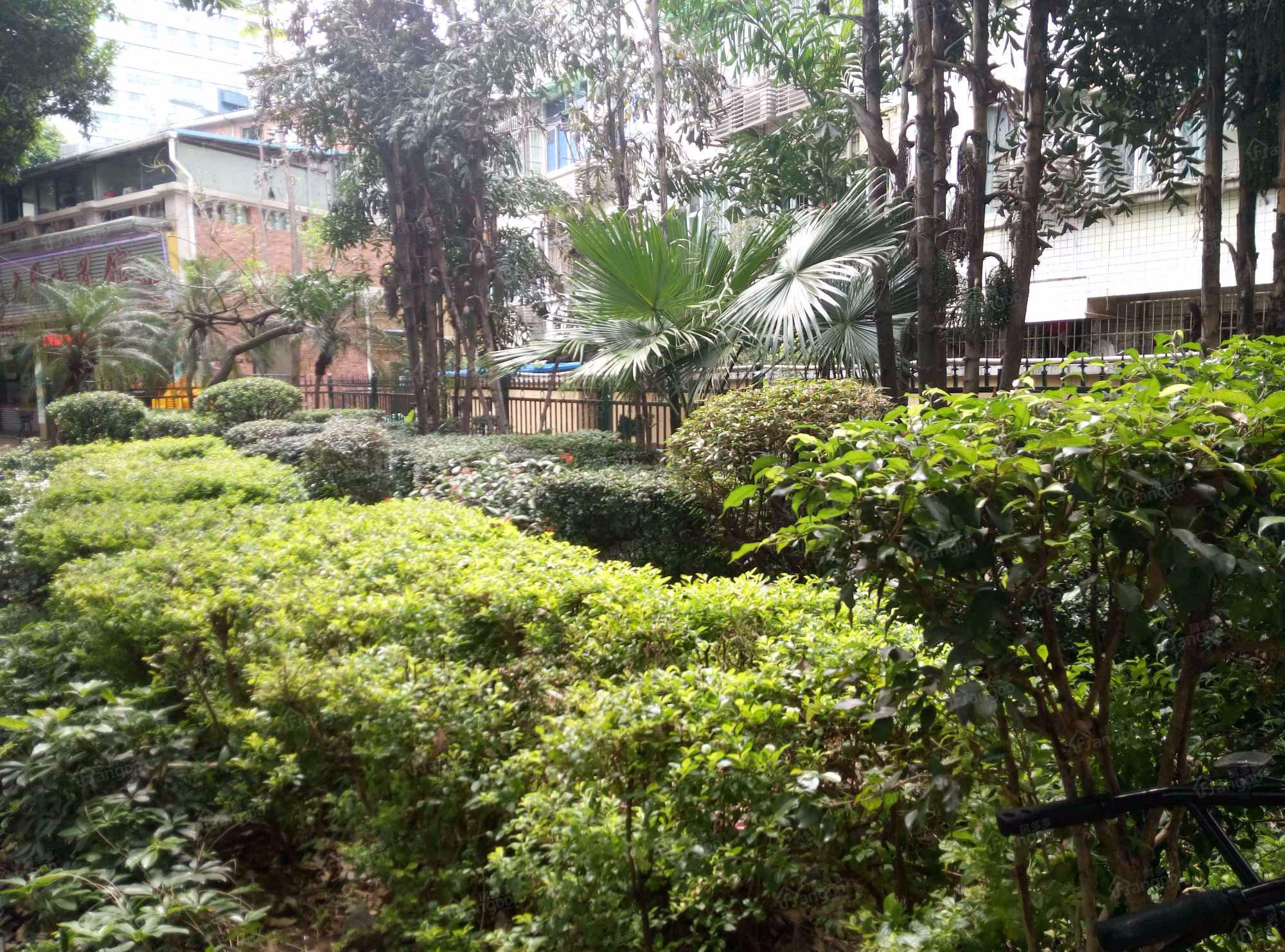 宝南尾小区图片