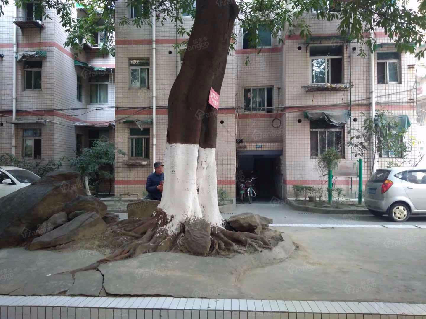 龙锦苑五区小区图片