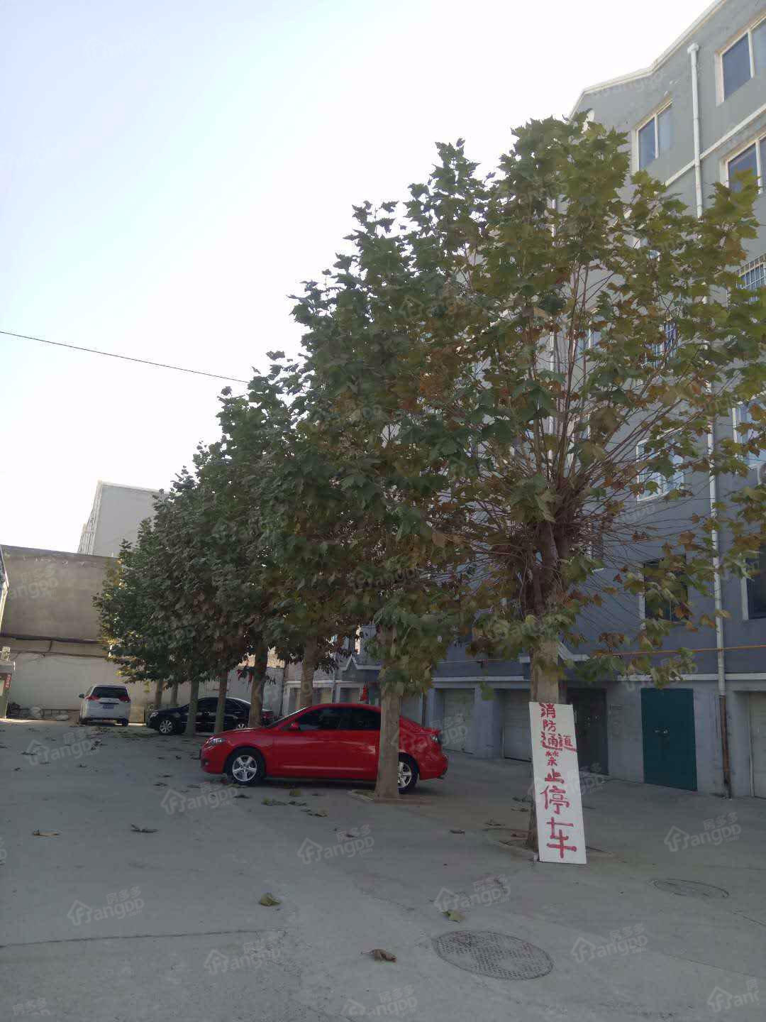阳光花园(雄县)小区图片