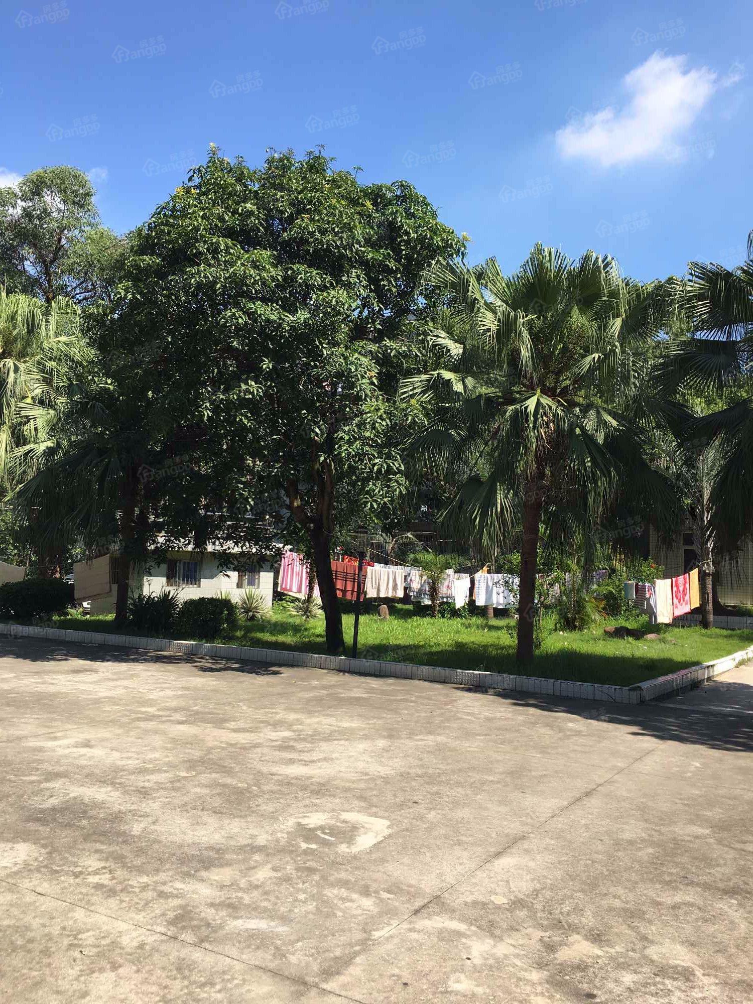 肺科医院单位宿舍小区图片
