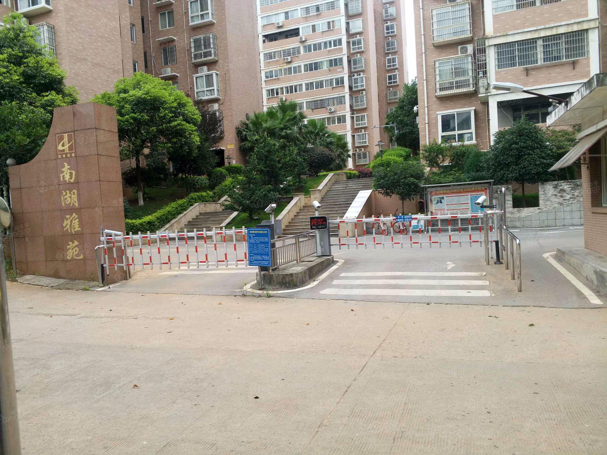 南湖雅苑小区图片
