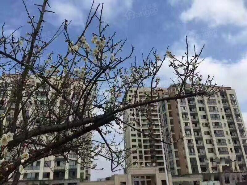 佳源未来府小区图片