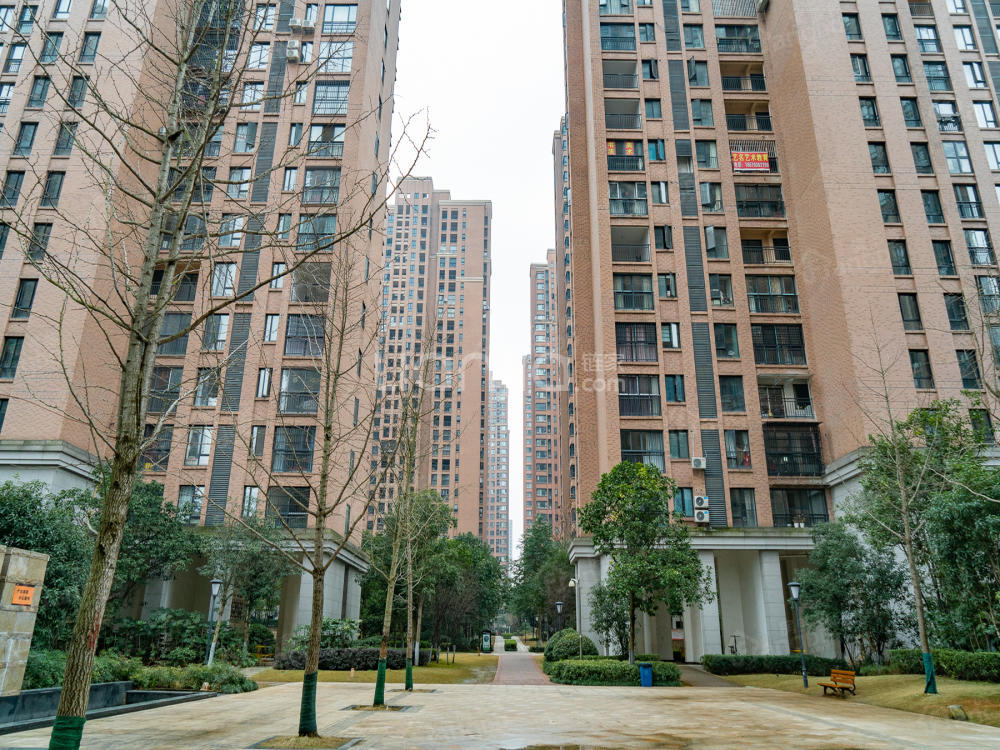 三一街区小区图片