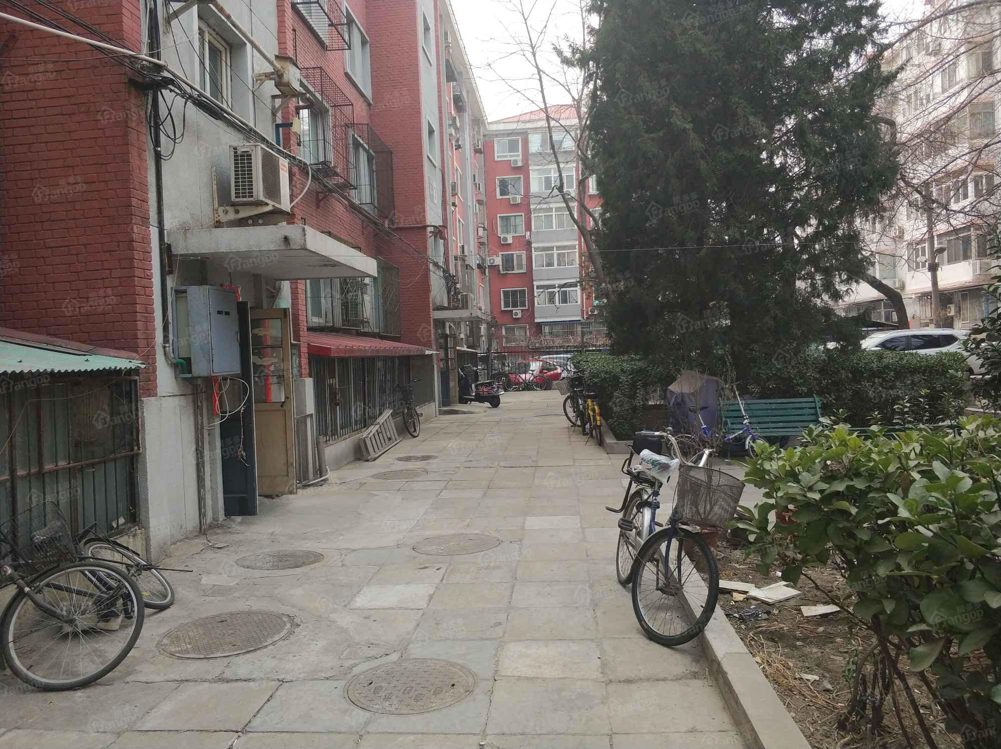 东皇城根南街86号院小区图片