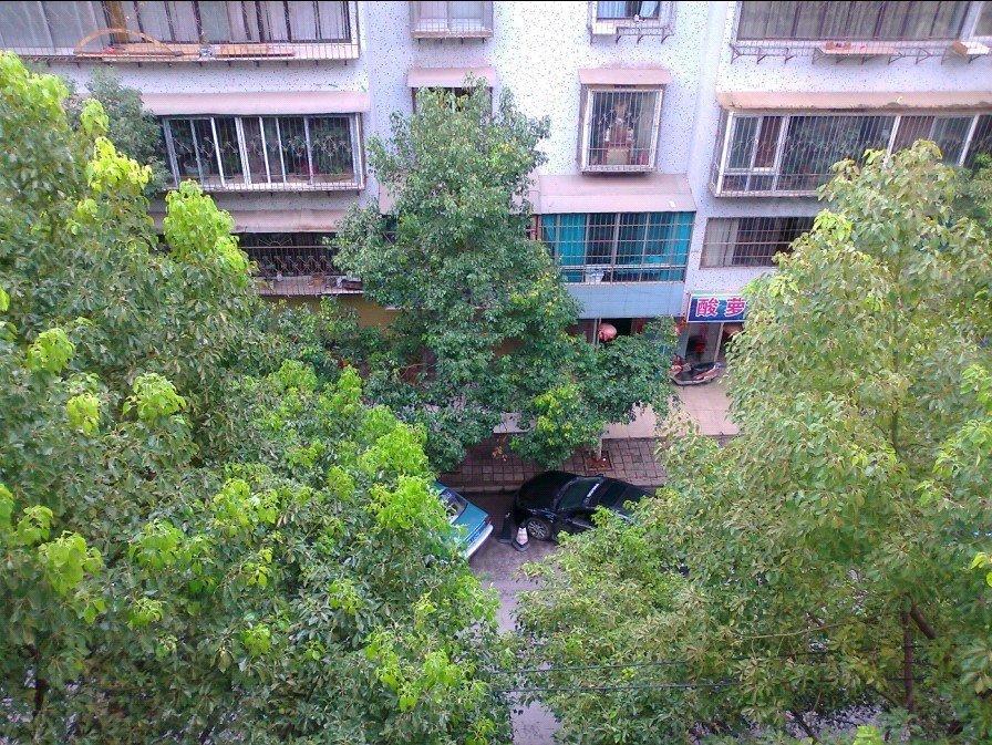 日新小区小区图片