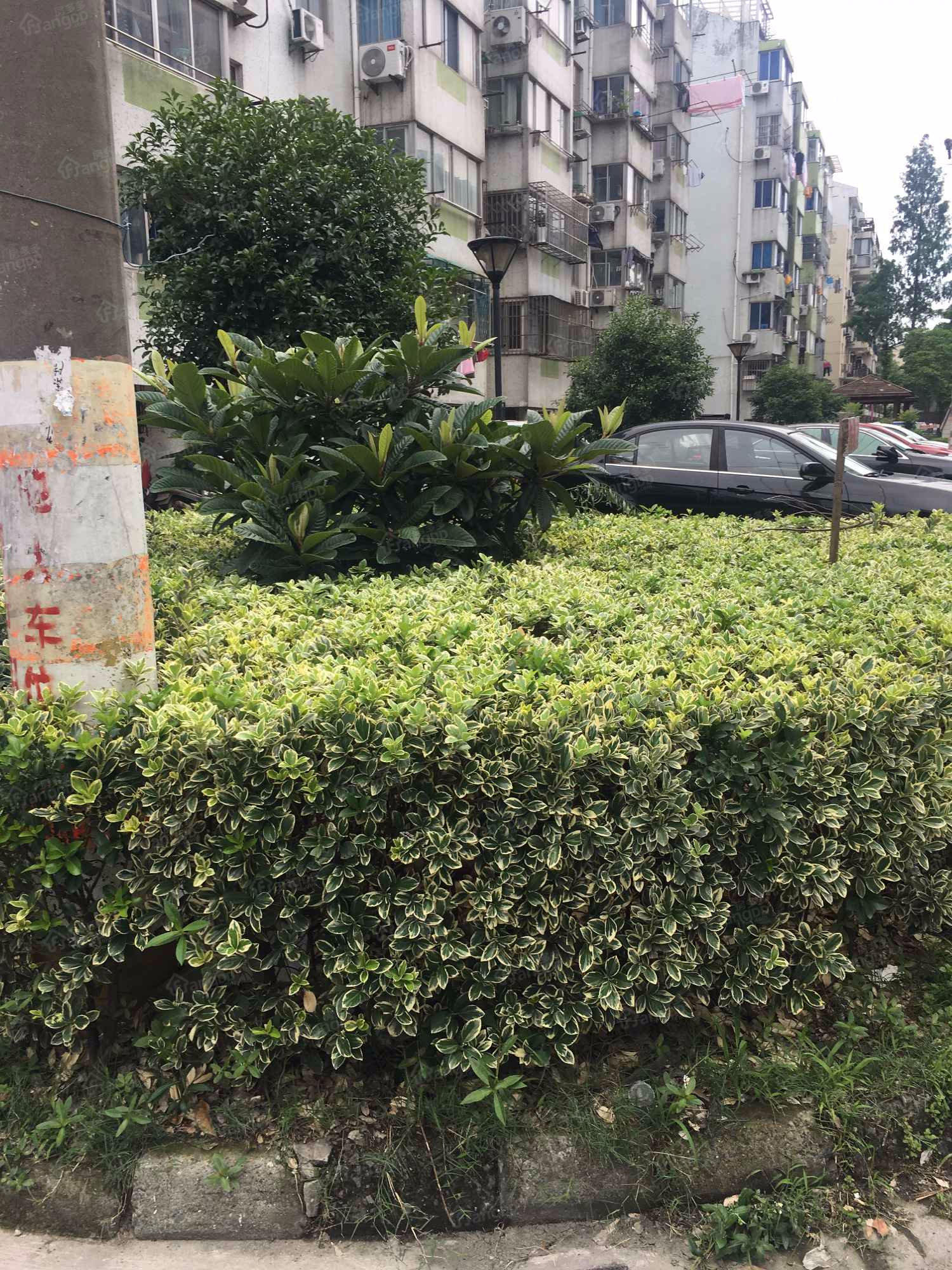 徐家浜北二村小区图片