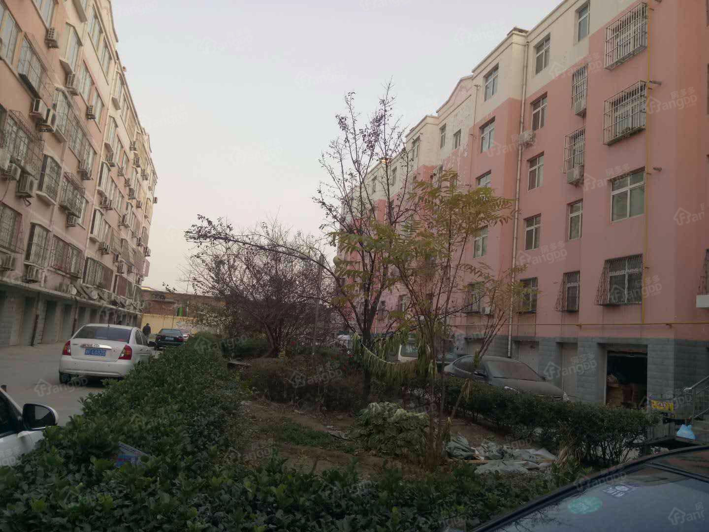 金容小区小区图片