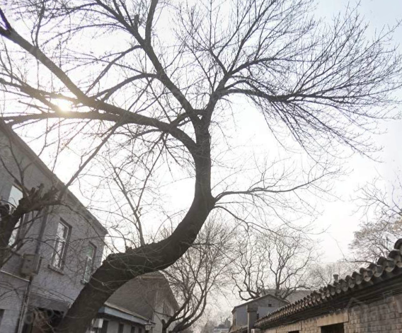 后圆恩寺胡同小区图片