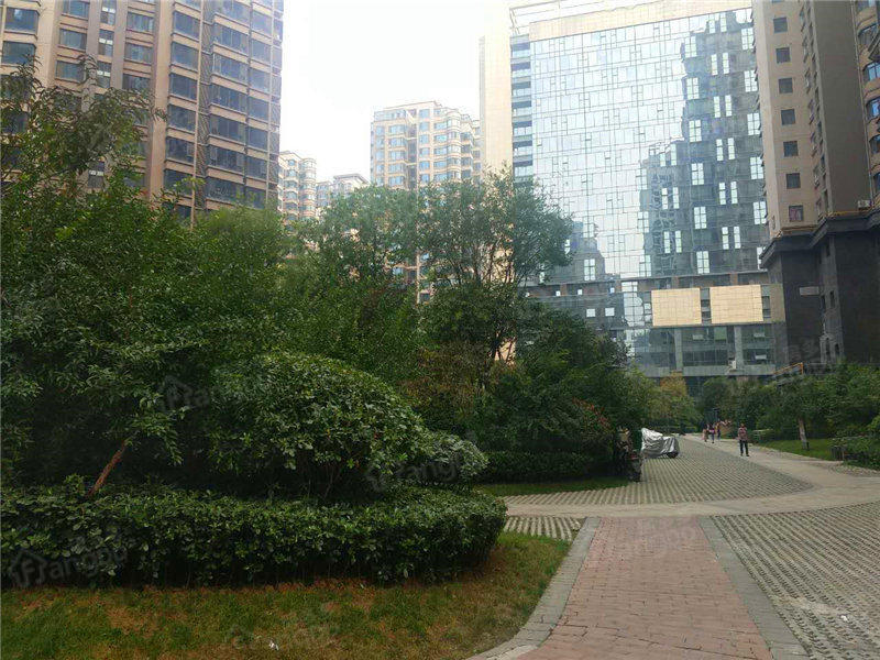 紫薇西棠小区图片