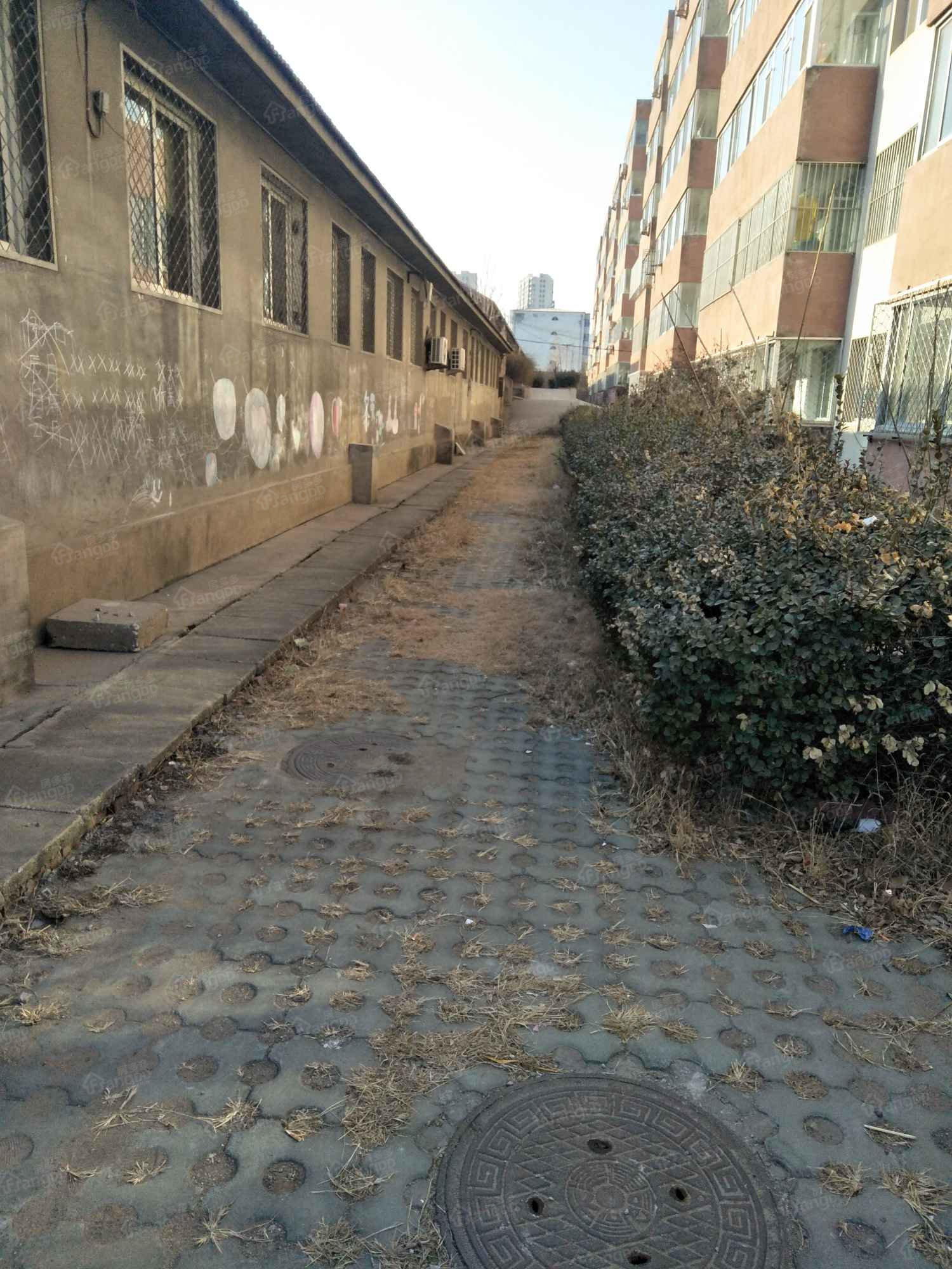 康宁楼小区小区图片