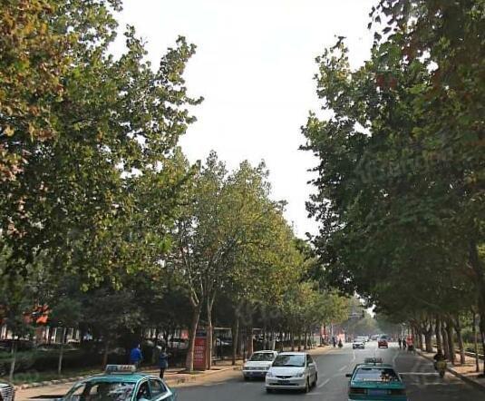 蓝溪丽景小区图片