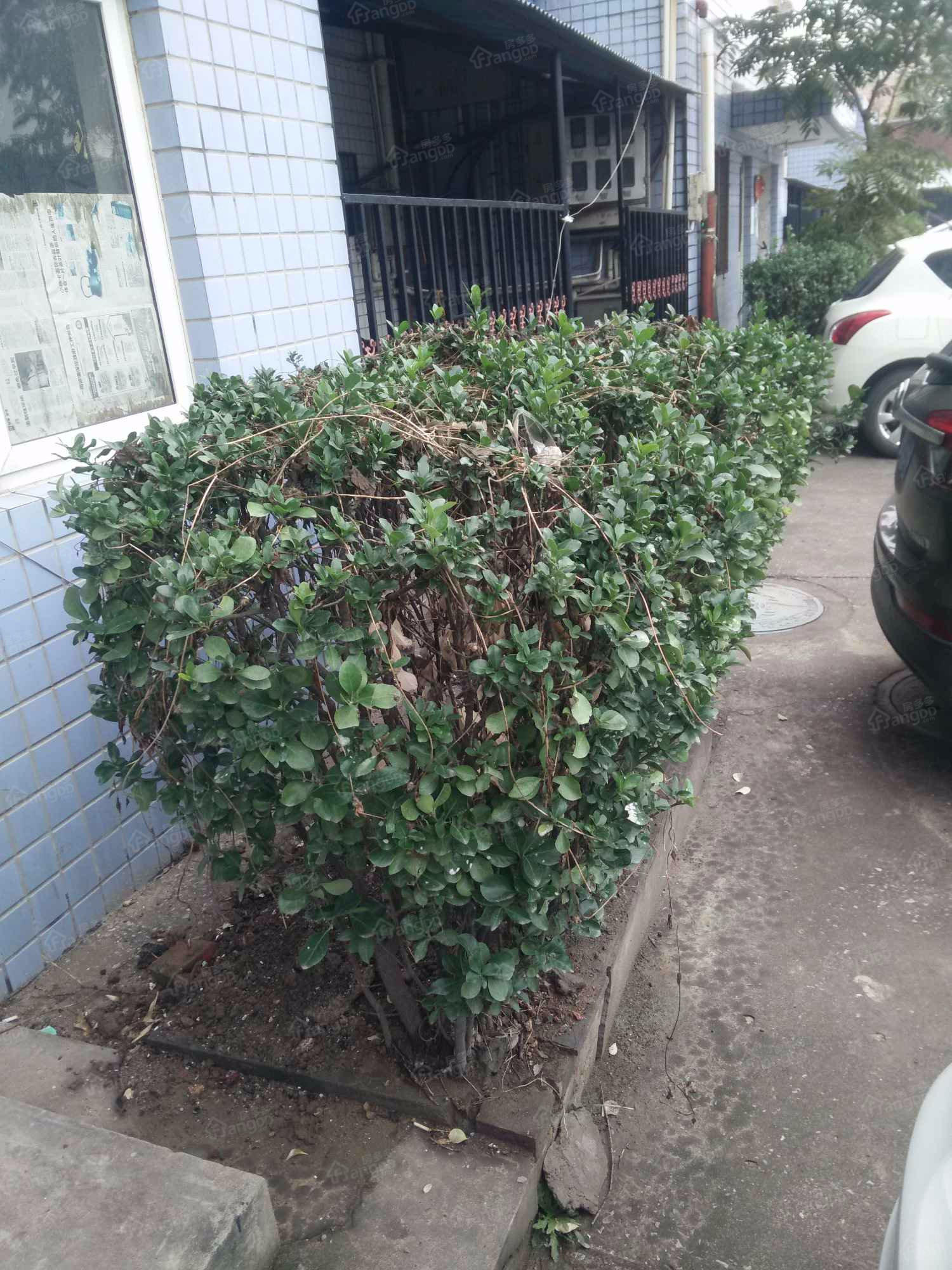 槐茂家园小区图片