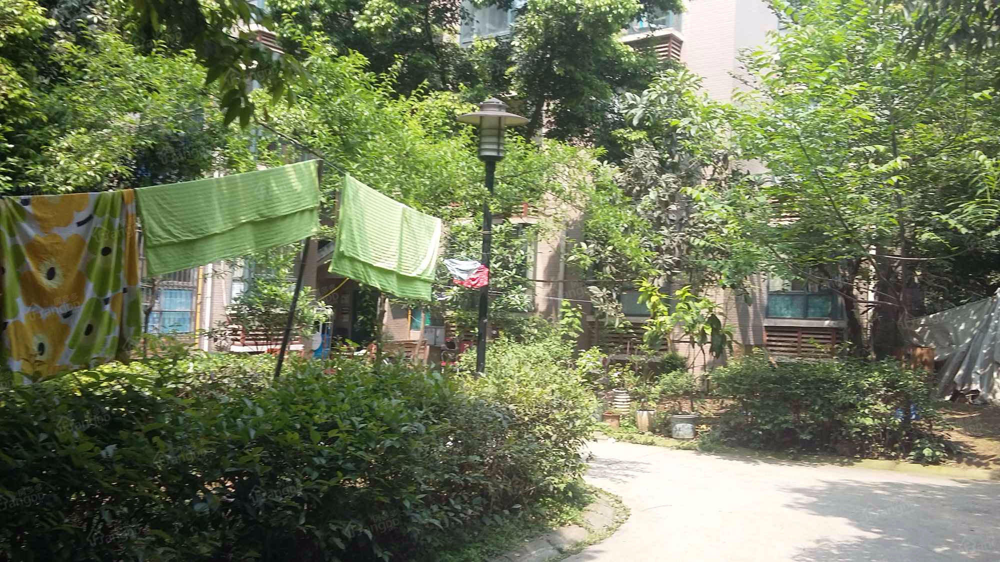 北湖印象五期小区图片