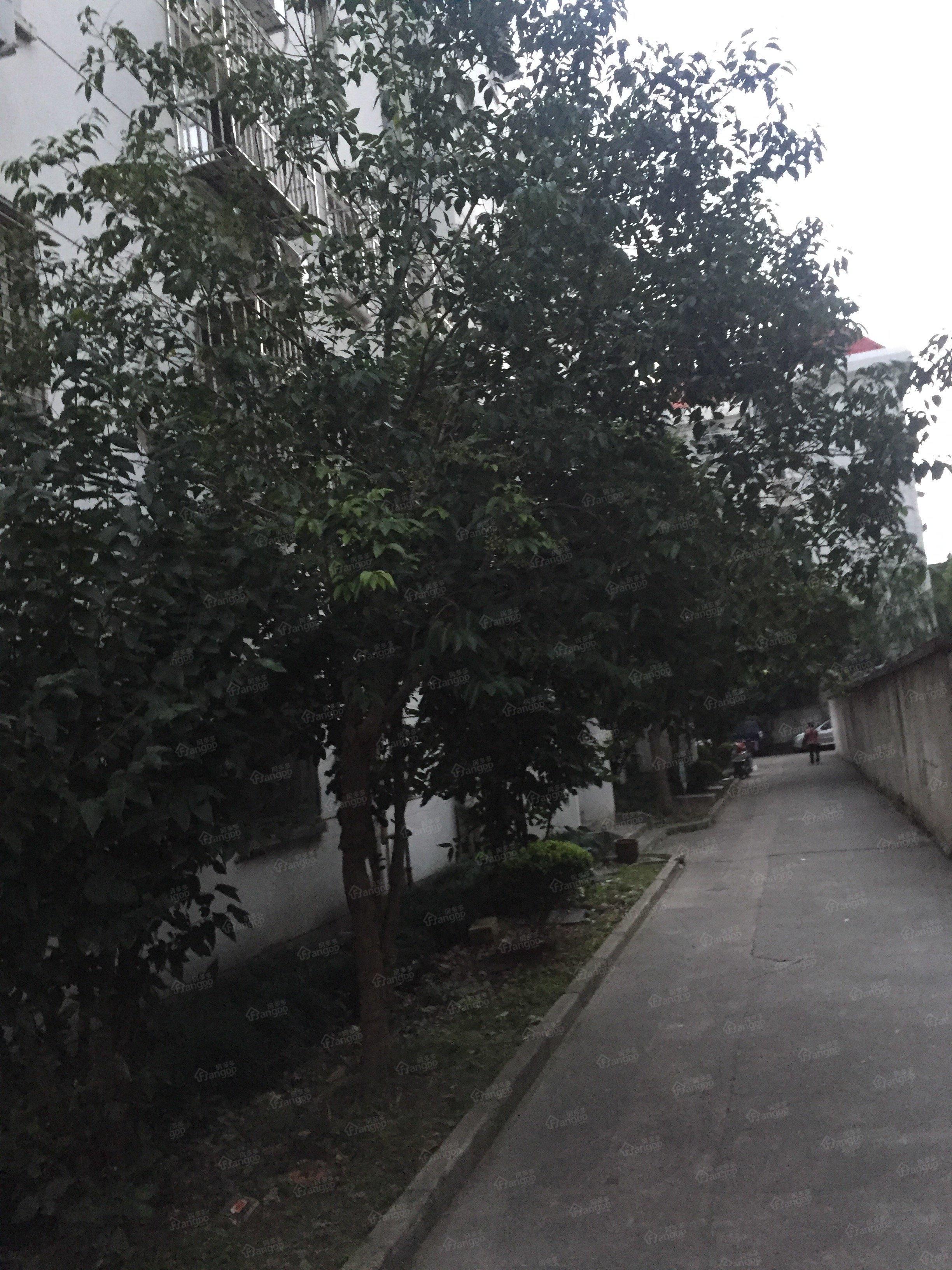 沁春路1122弄小区图片