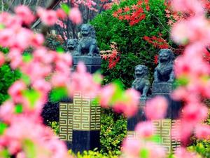 蓝光·雍錦湾