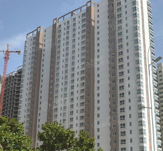 独山大道光武路华鑫苑小区图片