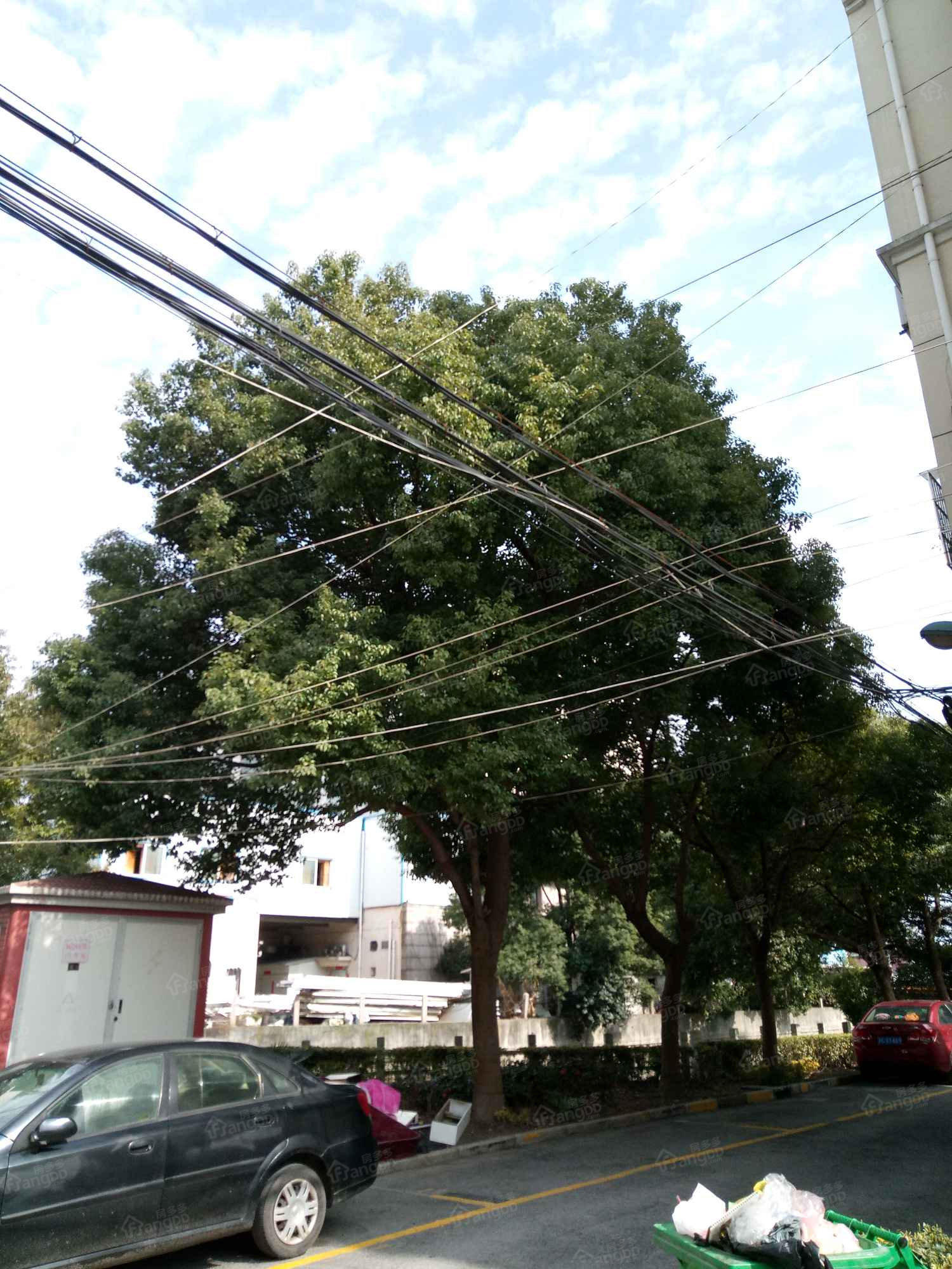 花园新村(方泰镇)小区图片