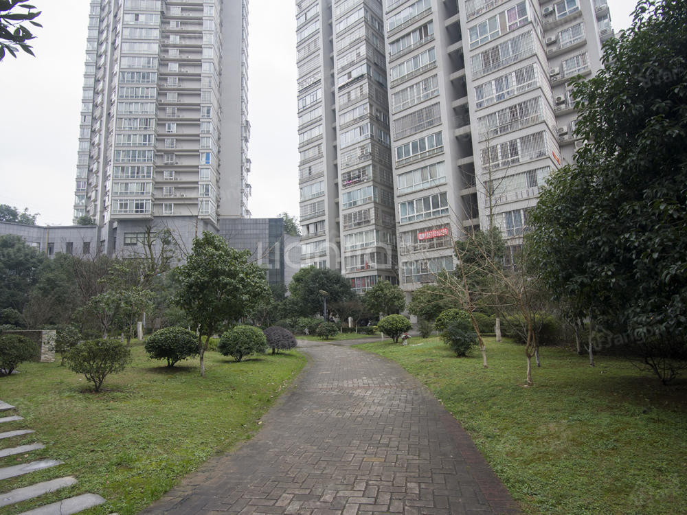 月湖兰庭小区图片