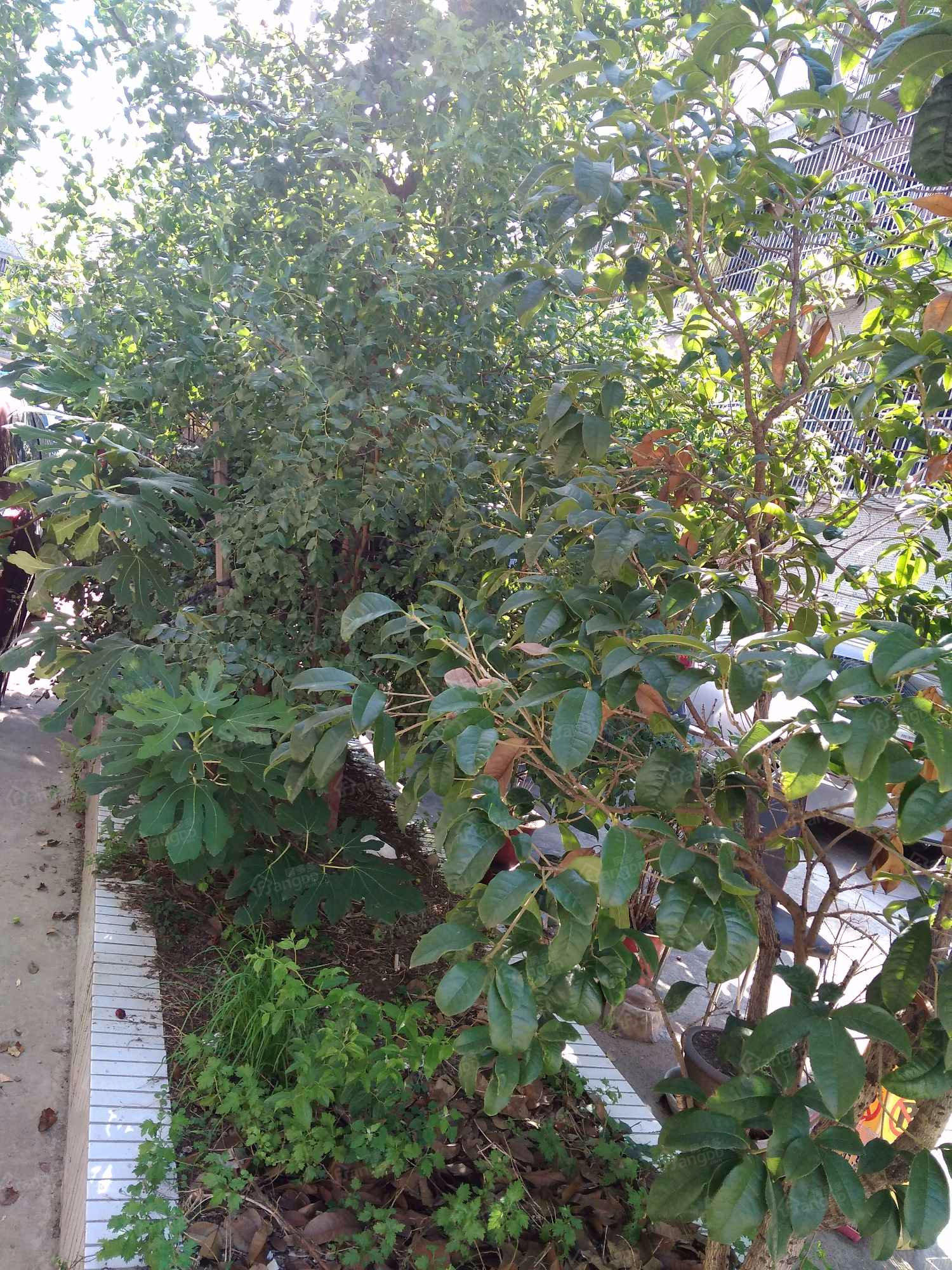 蒋家巷新村小区图片