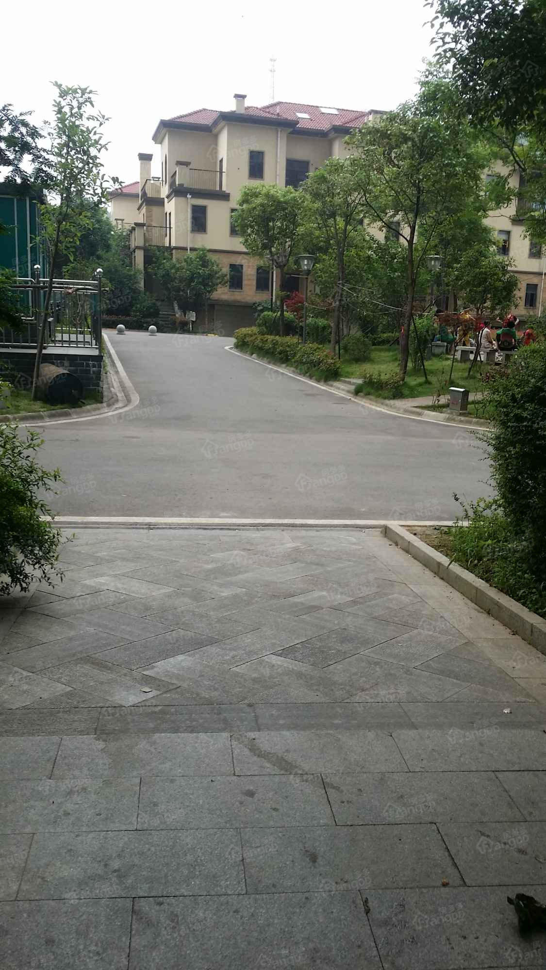 九龙领仕汇小区图片
