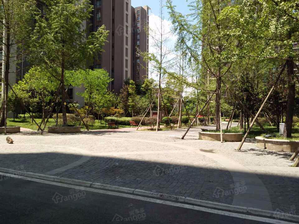 新怡华庭东区小区图片