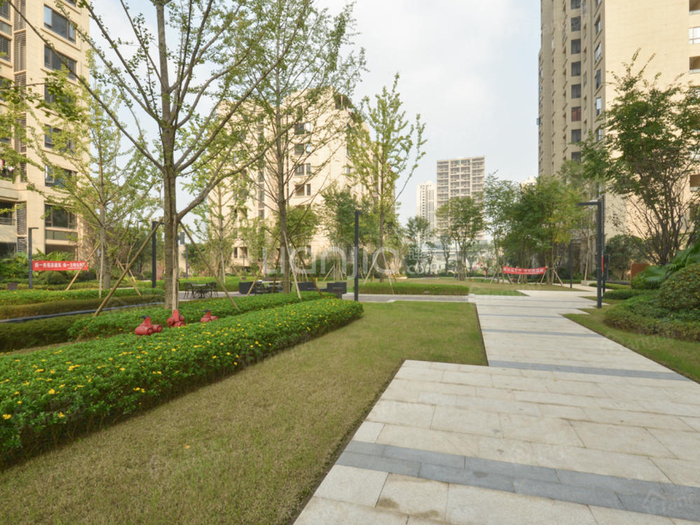 鲁能泰山7号十七街区小区图片
