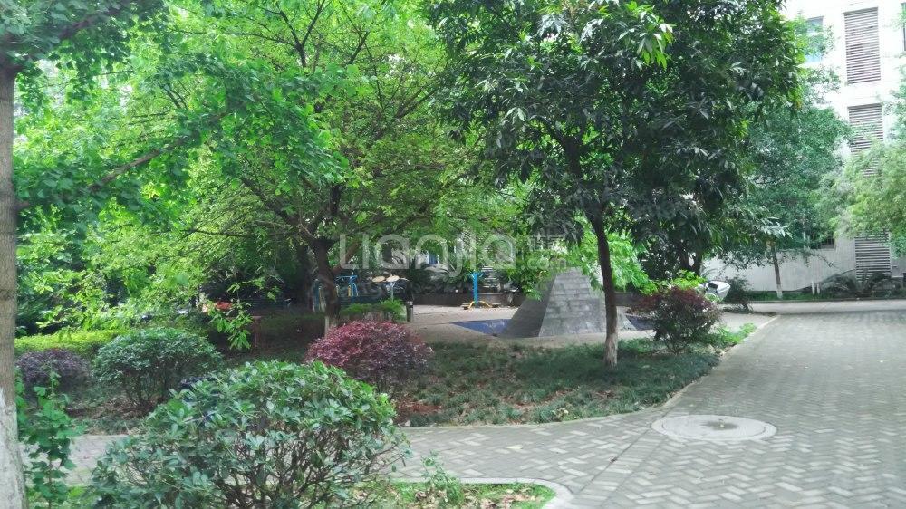 国土局小区小区图片