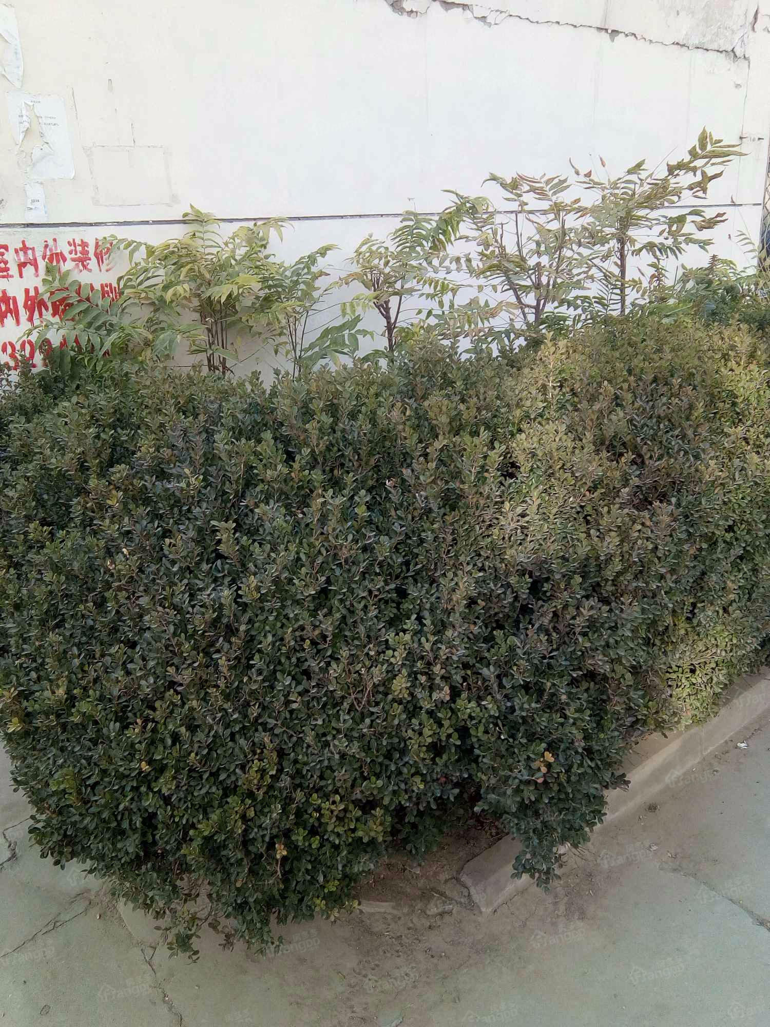 广场小区小区图片