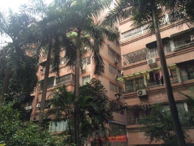 芦荻街小区小区图片