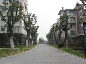 蟠龙新街小区小区图片