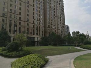 华润中央公园(公寓)小区图片