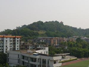 麓景路小区图片